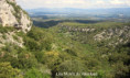 /album/fontaines-du-vaucluse-jeudi-8-mai/2025-05-08-fontaine-de-vaucluse-19-jpg/
